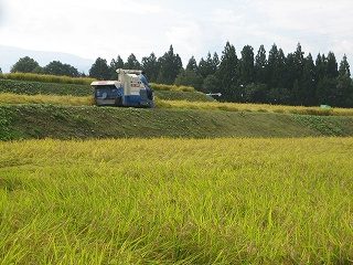 IMG_3092.jpg