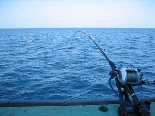 IMG_3093.jpg