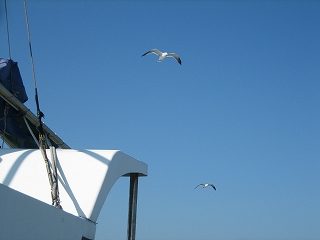 IMG_3096.jpg