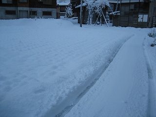 IMG_3141.jpg