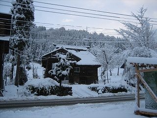 IMG_3142.jpg