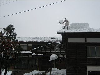 IMG_3232.jpg