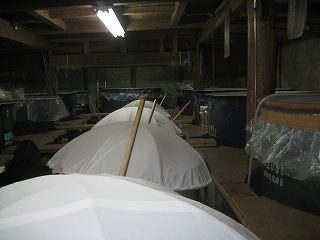 IMG_3296.jpg