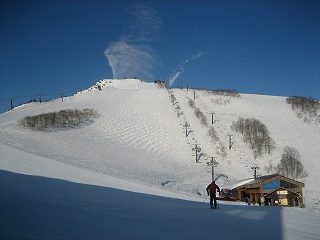 IMG_3313.jpg