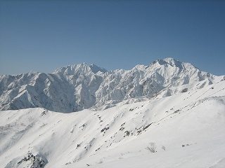 IMG_3323.jpg