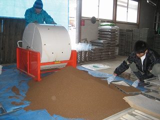 IMG_3390.jpg