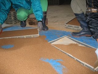 IMG_3394.jpg
