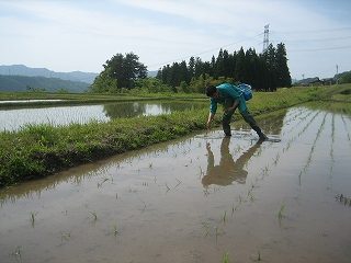 IMG_3481.jpg