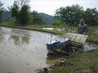 IMG_3482.jpg