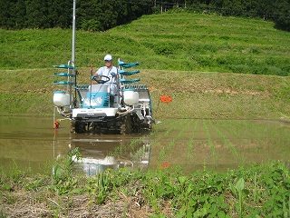 IMG_3484.jpg