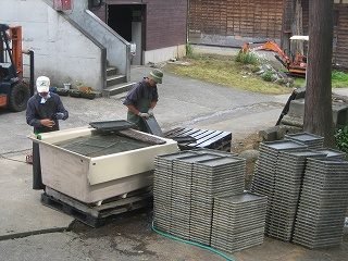 IMG_3531.jpg