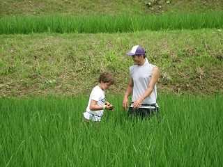 IMG_3610.jpg