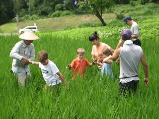 IMG_3614.jpg