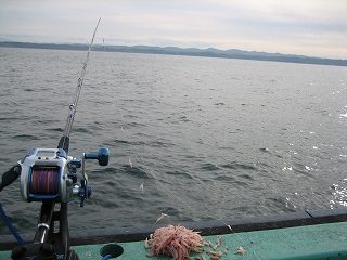 IMG_3701.jpg