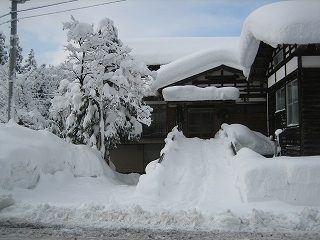 IMG_3719.jpg