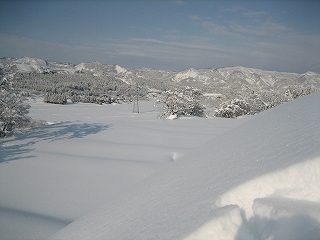 IMG_3721.jpg