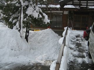 IMG_3724.jpg