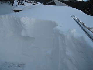 IMG_3725.jpg