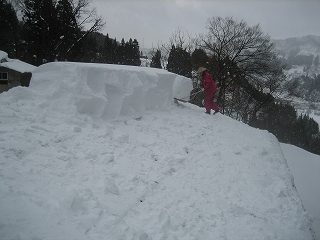 IMG_3726.jpg