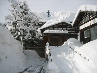 IMG_3741.jpg