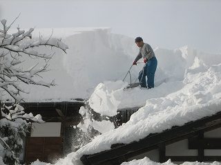 IMG_3745.jpg