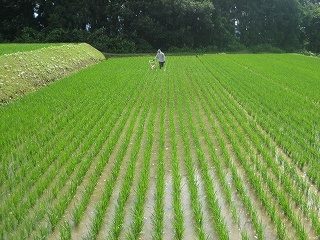 IMG_3888.jpg