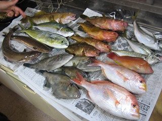 IMG_3933.jpg