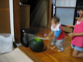 IMG_3990.jpg