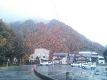 NEC_0007.jpg