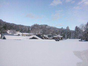 NEC_0090.jpg