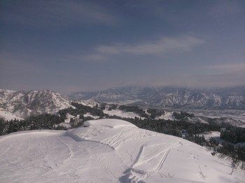 NEC_0105.jpg