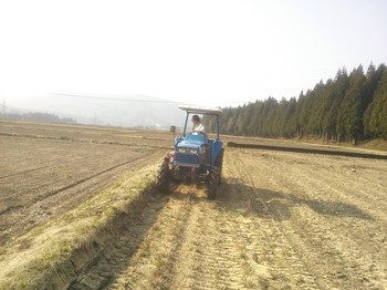NEC_0305.jpg